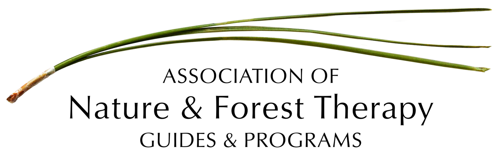 Association of Nature and Forest Therapy Guides and Programs