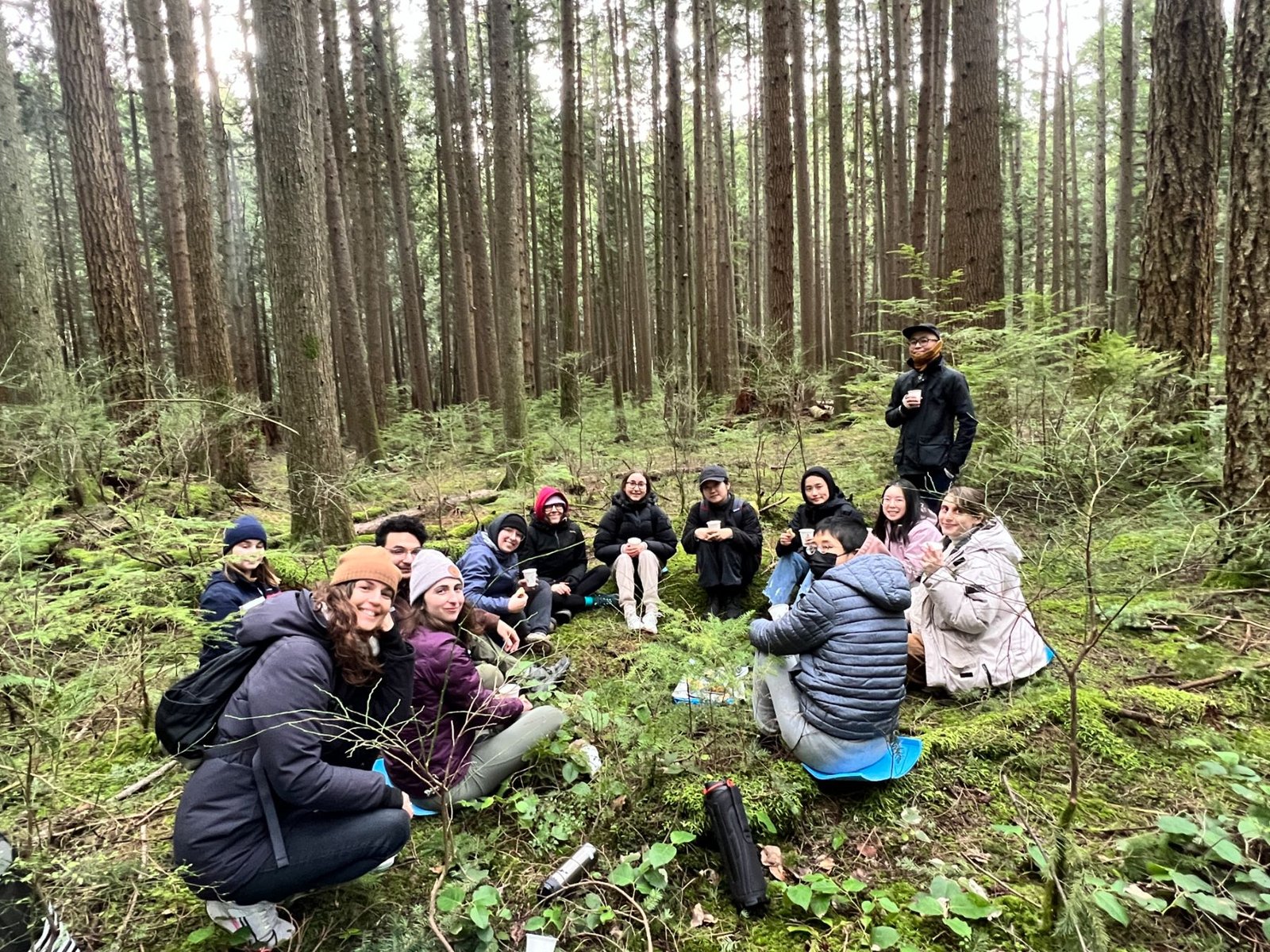 Participants seated in a circle in a conifer forest