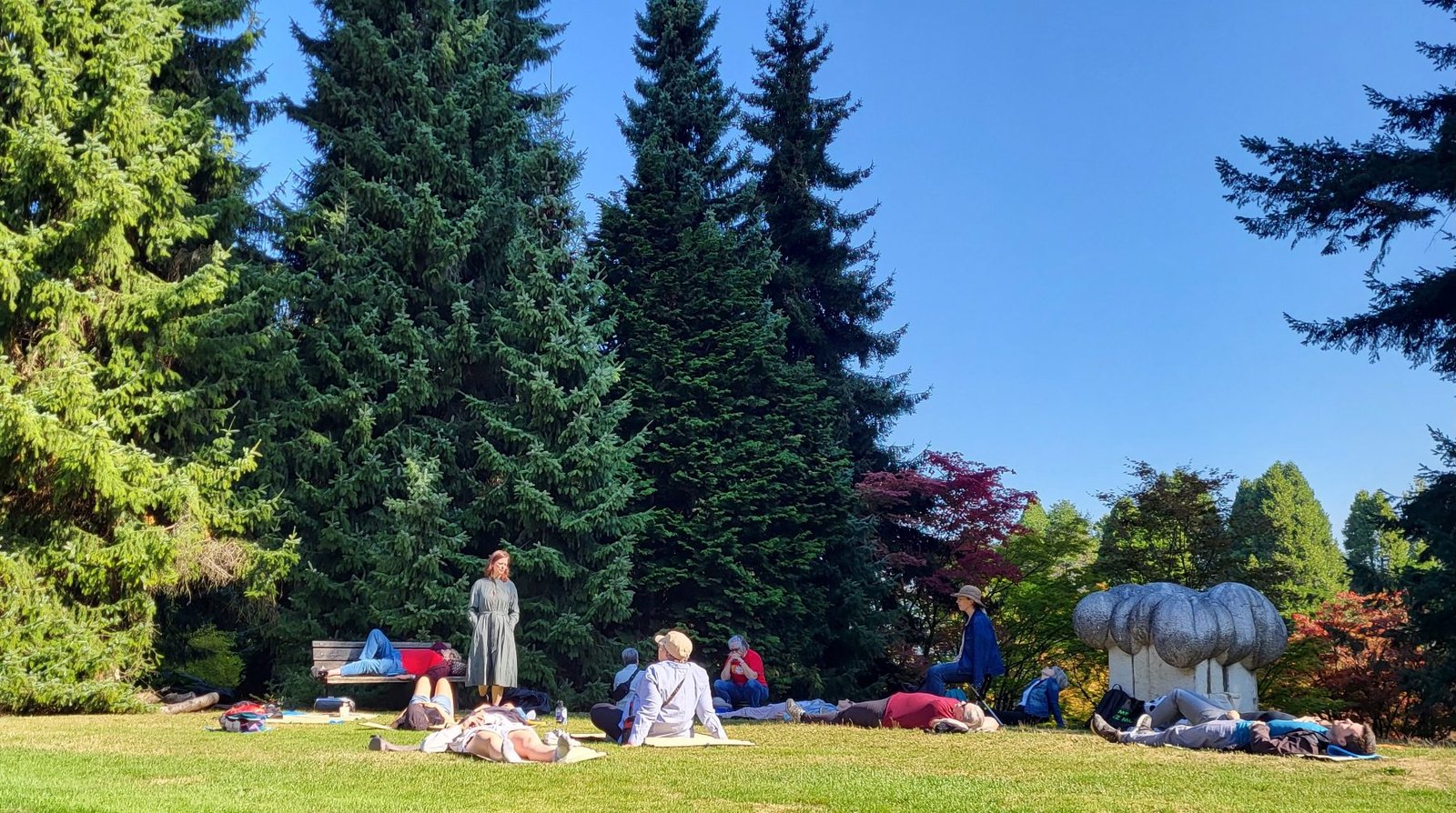 Guided outdoor session on a lawn beneath tall conifers