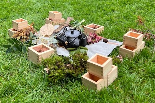 Book a Group Session Guided walk for the VanDusen Botanical Garden Plants, People, and Place Teacher Series