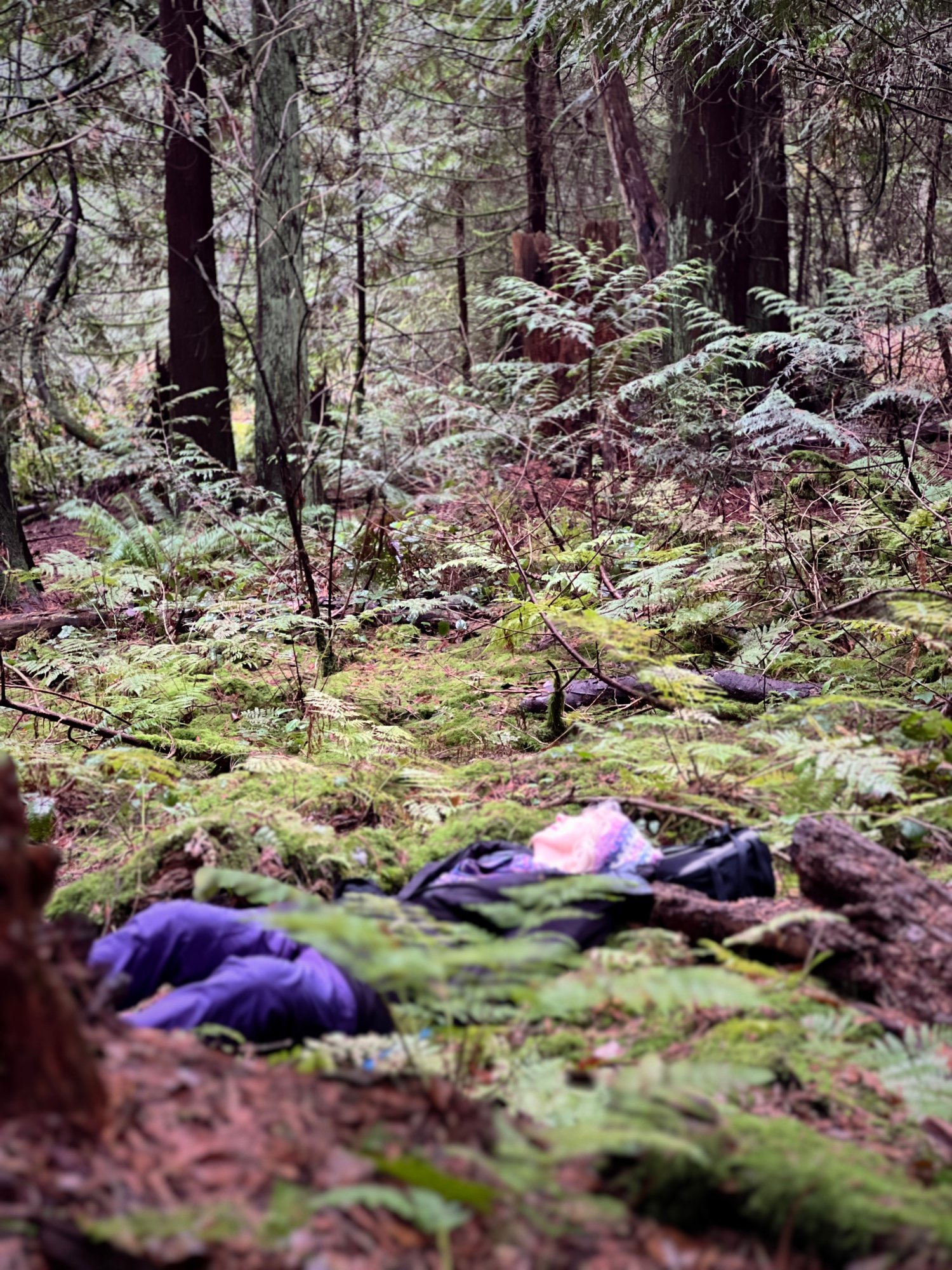 Tara Tiger Brown | Nature Connection, Research & Programs Lynn Fearn