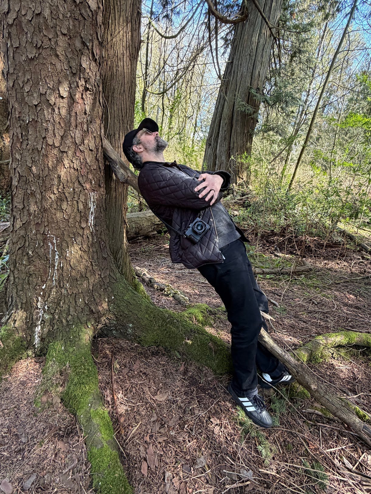 What 33 brain studies suggest about time in nature sean-sitspot